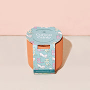 Modern Sprout Pet Tiny Terracotta Grow Kits Indoor Garden Kit