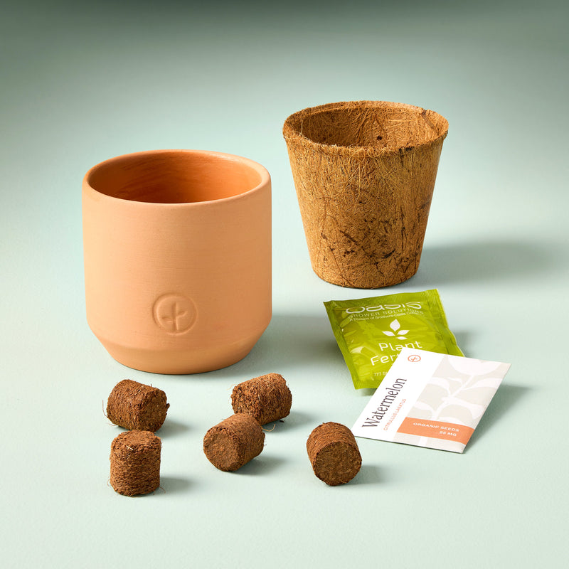 Modern Sprout Tiny Terracotta Garden Kits Indoor Garden Kit