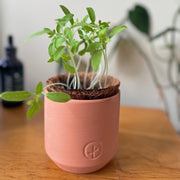 Modern Sprout Tiny Terracotta Garden Kits Indoor Garden Kit