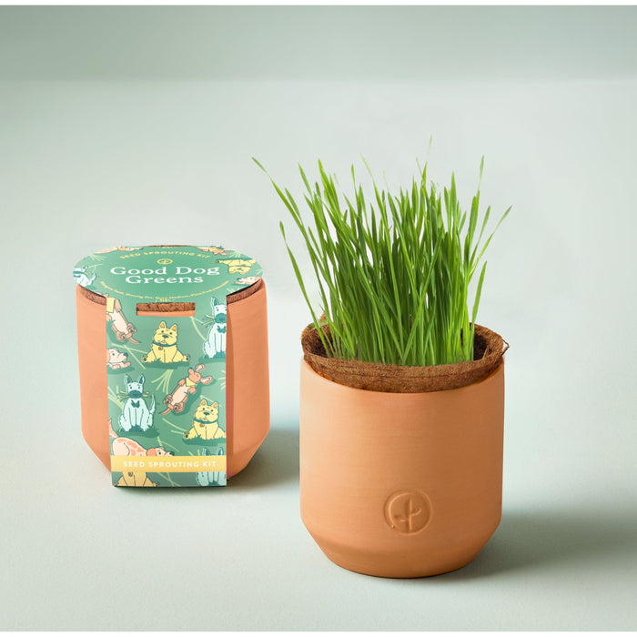 Modern Sprout - Modern Sprout - Pet Tiny Terracotta Grow Kits
