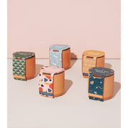 Modern Sprout Tiny Terracotta Kits Indoor Garden Kit