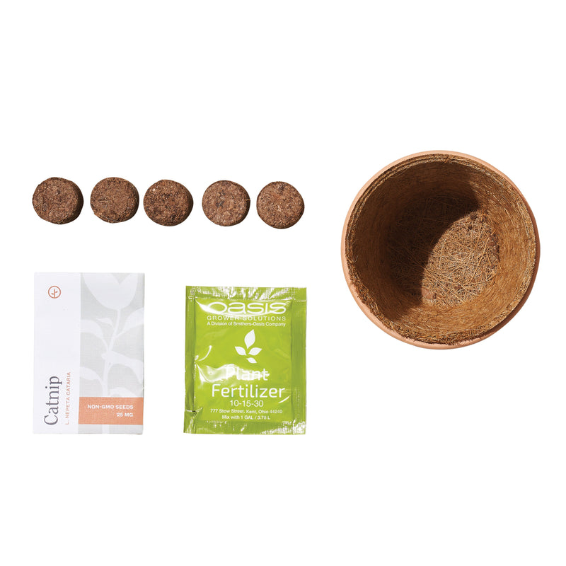 Modern Sprout Pet Tiny Terracotta Grow Kits Indoor Garden Kit
