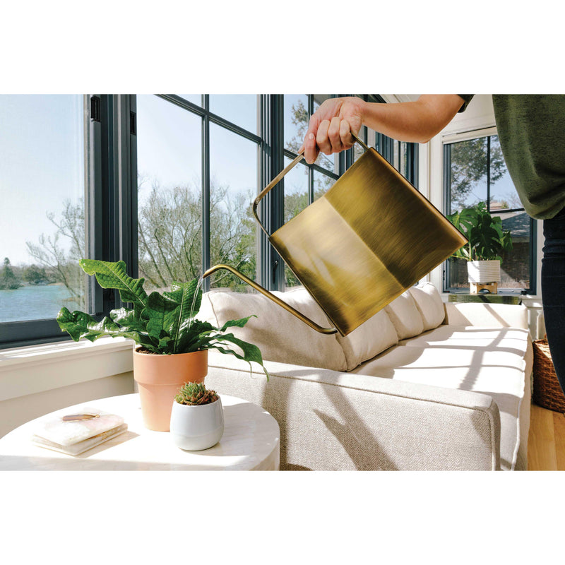 Modern Sprout Watering Cans Accessory