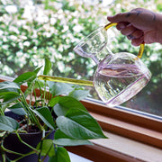 Modern Sprout Glass Watering Can Accessory