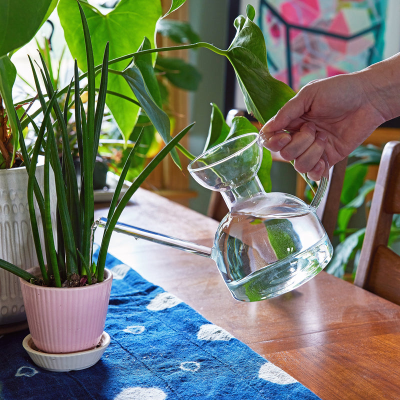 Modern Sprout Glass Watering Can Accessory