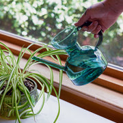 Modern Sprout Glass Watering Can Accessory