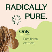 Plant Therapy Maca Root Herbal Supplement - 120 Capsules Supplement