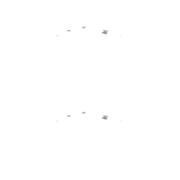 Madam Glam Wedding Veil