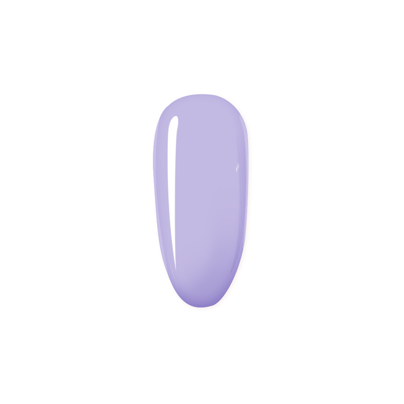 Madam Glam The Persian Sea