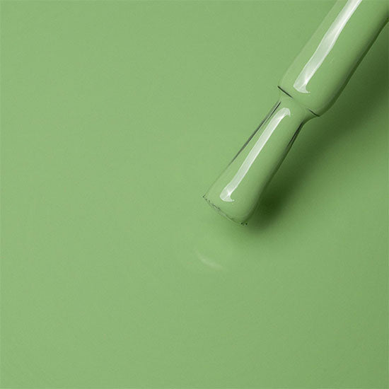 Madam Glam Rainforest