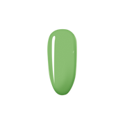 Madam Glam Rainforest