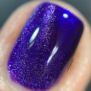 Madam Glam Lost in New York