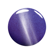 Madam Glam Lost in New York