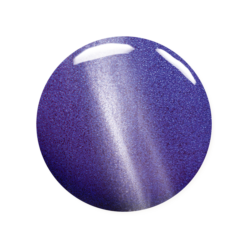 Madam Glam Lost in New York