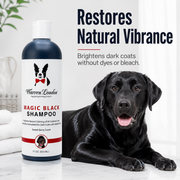 Warren London Magic Black Brightening Dog Shampoo - Professional Size Pet Shampoo & Conditioner Lavender