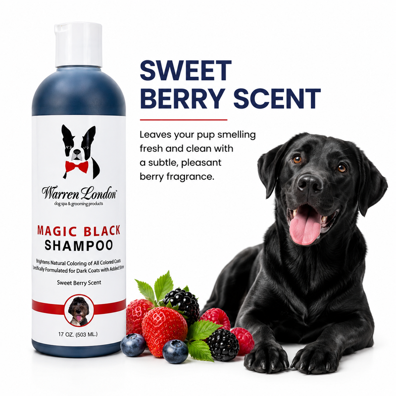 Warren London Magic Black Brightening Dog Shampoo - Professional Size Pet Shampoo & Conditioner White Smoke