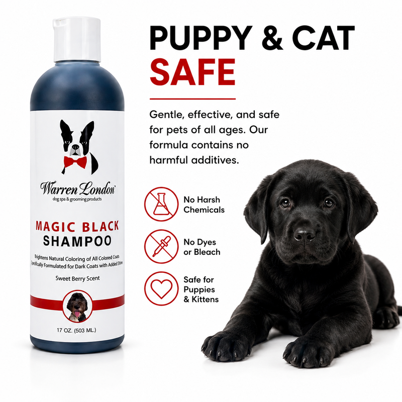 Warren London Magic Black Brightening Dog Shampoo - Professional Size Pet Shampoo & Conditioner White Smoke