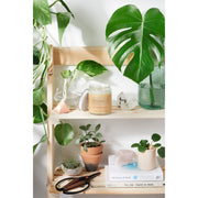 Butter Me Up Organics Organic Magnesium Lotion / Magnesium / Magnesium Cream / Magnesium Butter / Magnesium Body Butter / Magnesium Chloride / Magnesium Rub Balm Body