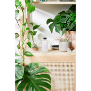 Butter Me Up Organics Organic Makeup Remover / Toxin Free / Gentle / Sensitive Skin / Organic Skincare / Butter Me Up Organics Face