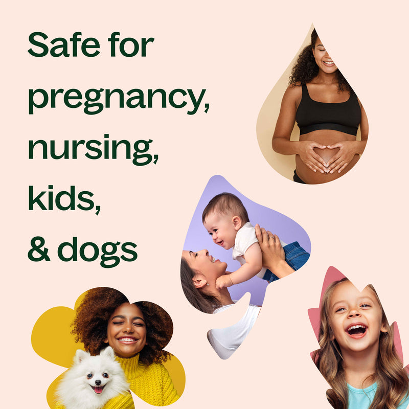 Plant Therapy Manuka Essential Oil Essential Oil