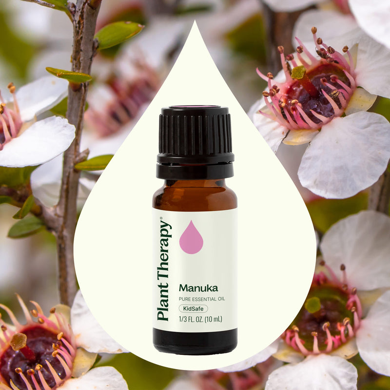 Plant Therapy Manuka Essential Oil Essential Oil