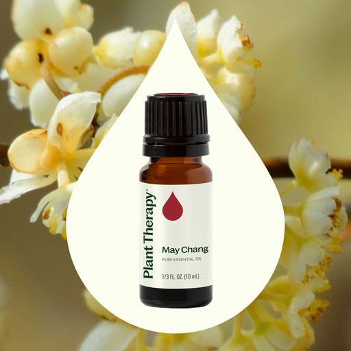 Plant Therapy May Chang Essential Oil Essential Oil