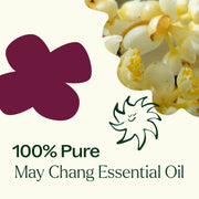 Plant Therapy May Chang Essential Oil Essential Oil