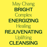 Plant Therapy May Chang Essential Oil Essential Oil