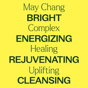 Plant Therapy May Chang Essential Oil Essential Oil