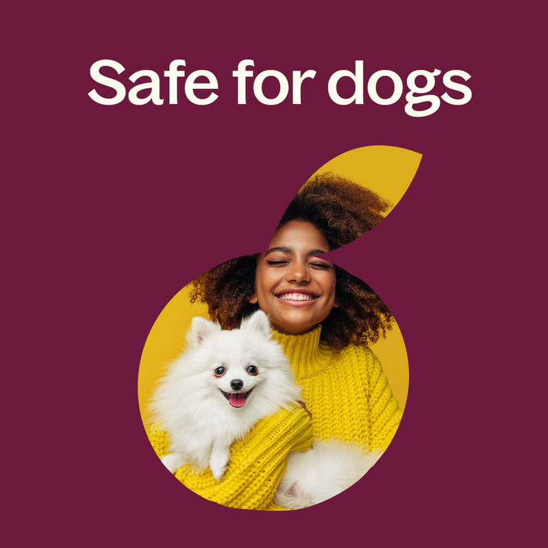 Plant Therapy May Chang Essential Oil Essential Oil