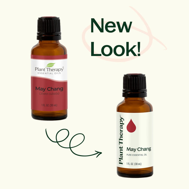 Plant Therapy May Chang Essential Oil Essential Oil