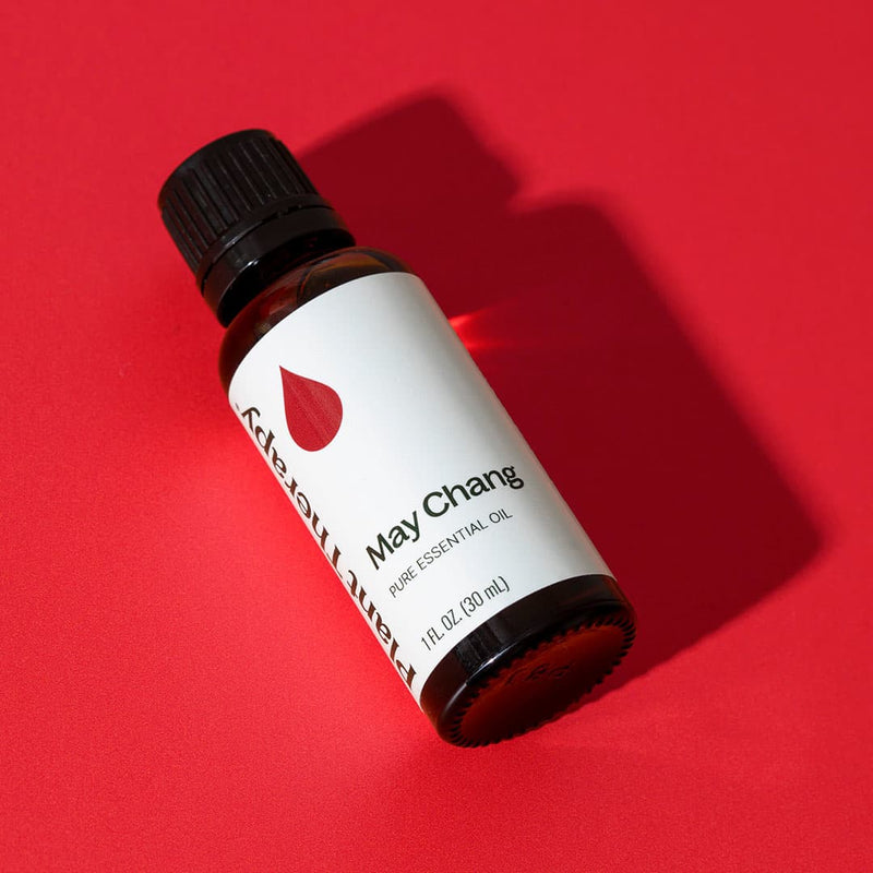 Plant Therapy May Chang Essential Oil Essential Oil