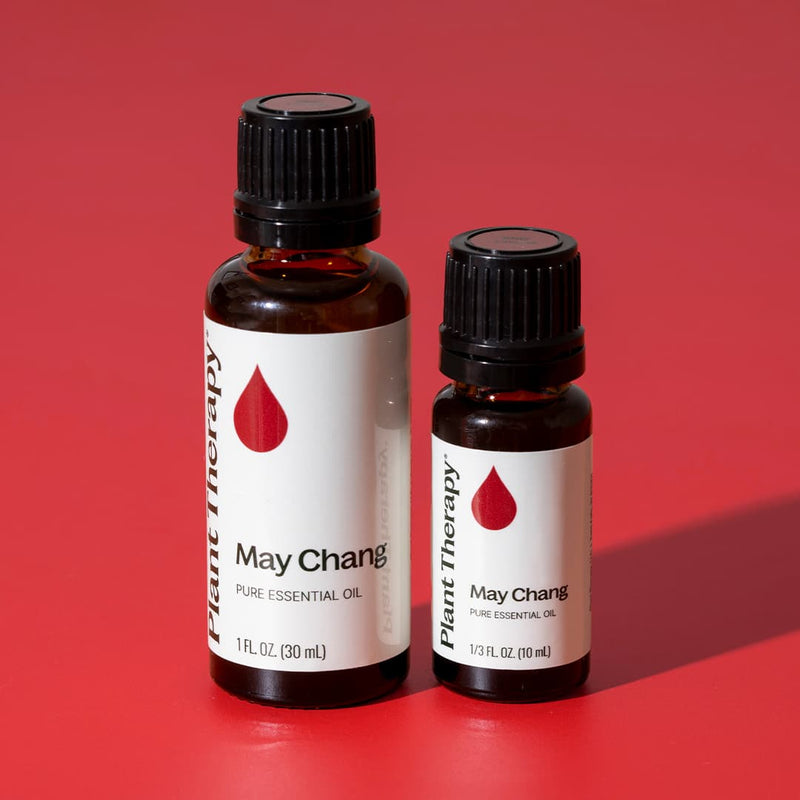 Plant Therapy May Chang Essential Oil Essential Oil