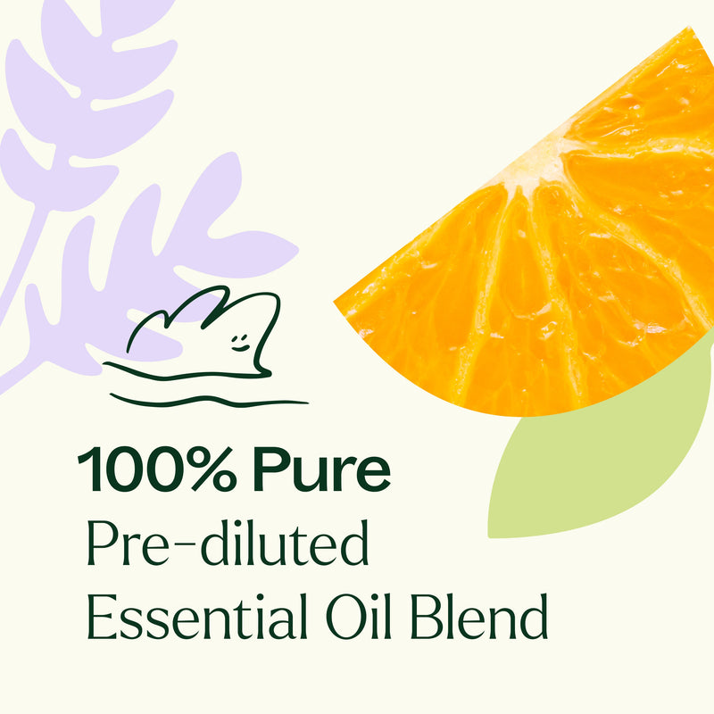 Plant Therapy Meditation Essential Oil Blend Pre-Diluted Roll-On Essential Oil