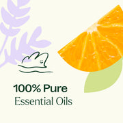 Plant Therapy Meditation Essential Oil Blend Essential Oil