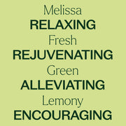 Plant Therapy Melissa Essential Oil Essential Oil
