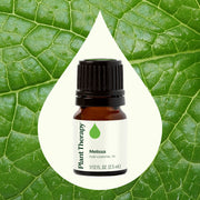 Plant Therapy Melissa Essential Oil Essential Oil