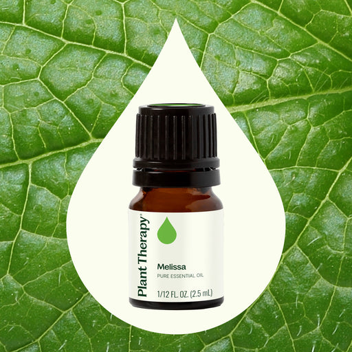Plant Therapy Melissa Essential Oil Essential Oil