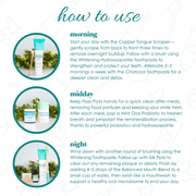 Wellnesse Mineralizing Oral Care Kit Oral Care