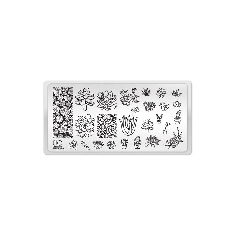 UberChic Beauty Succulents Stamping Plate