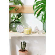 Butter Me Up Organics Miracle Balm / Organic Herbal Pain Balm / Muscle Pain / Deep Joint Pain / Pain Relief Balm / Pain Reliever / Sore Muscles / Sore Joints Body