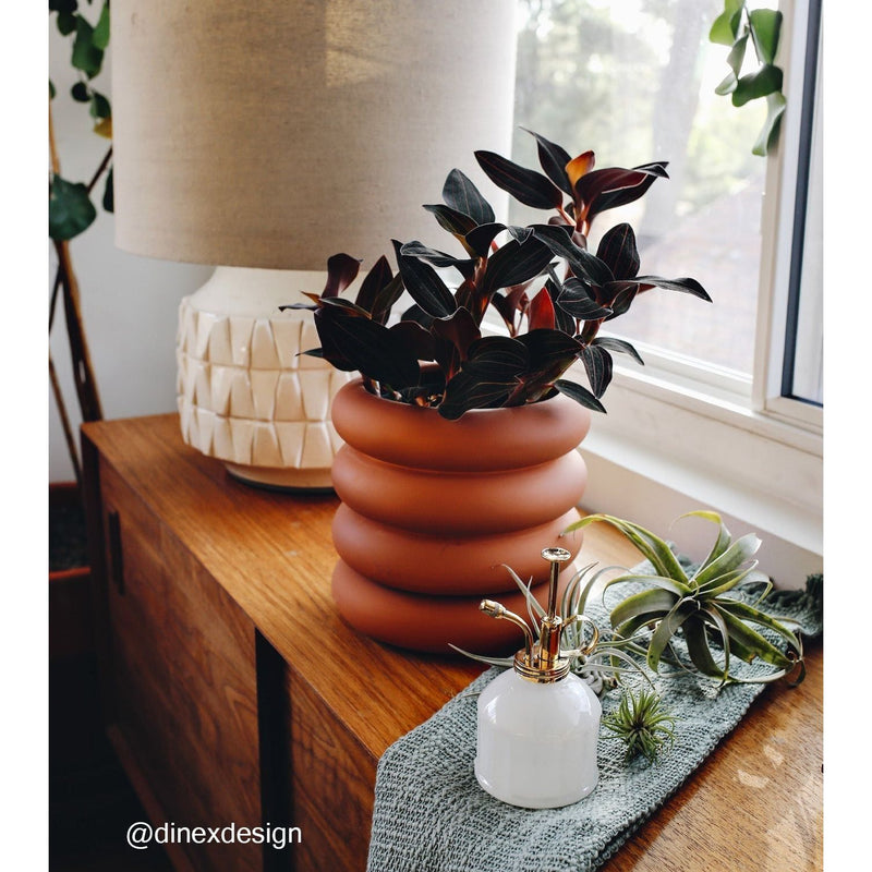 Modern Sprout Misters Accessory