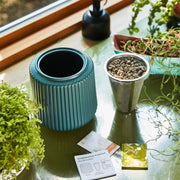 Modern Sprout Flower Grow Kits Indoor Garden Kit