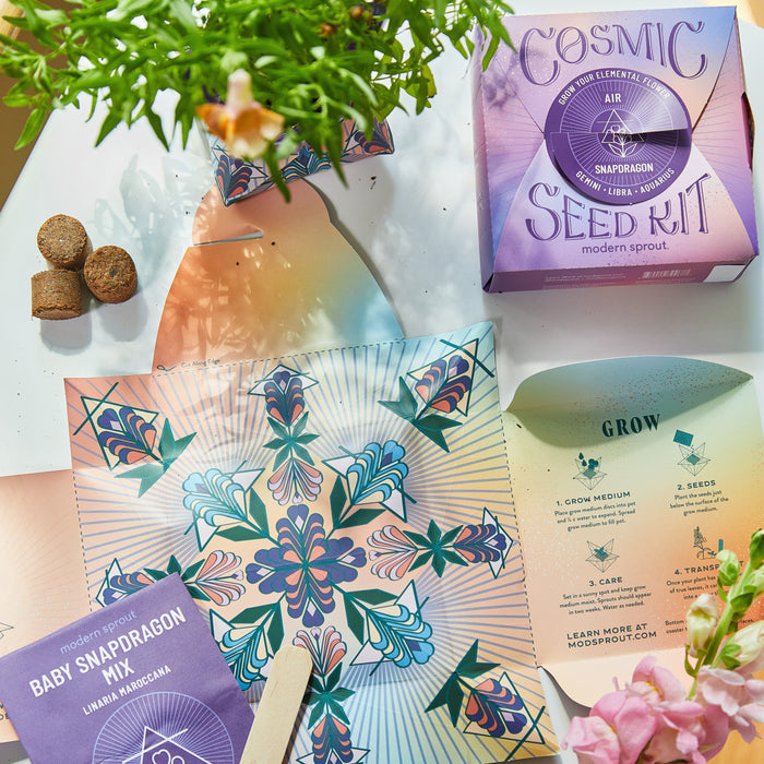 Modern Sprout - Cosmic Seed Kits