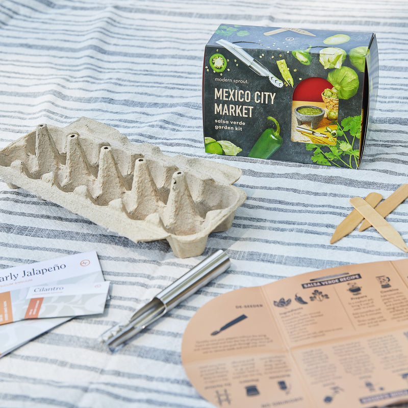 Modern Sprout Seed Collection + Accessories Gift Set