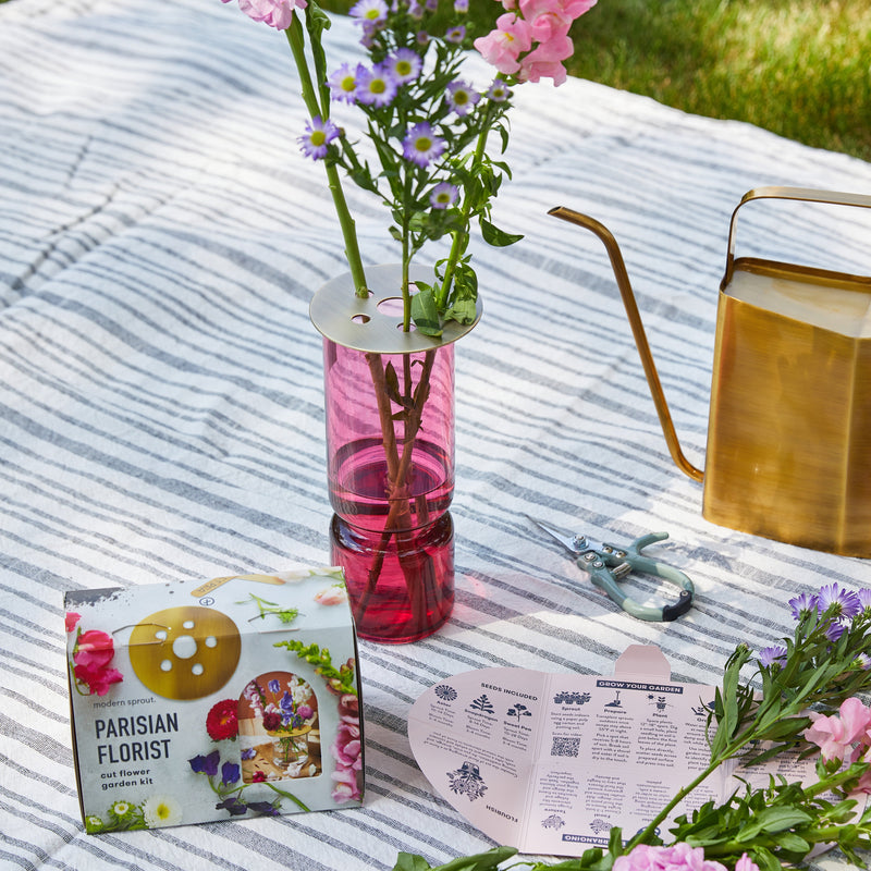 Modern Sprout Seed Collection + Accessories Gift Set