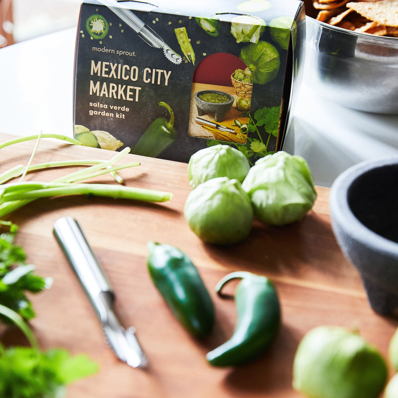 Modern Sprout Seed Collection + Accessories Gift Set