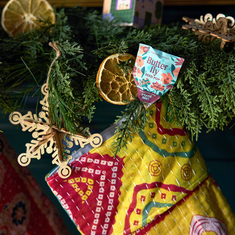 Modern Sprout Seed Pops - Pollinator Playful Planting