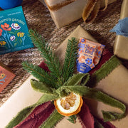 Modern Sprout Seed Pops - Pollinator Playful Planting