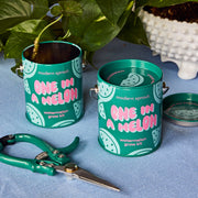 Modern Sprout Complimentary Colors Grow Kits Indoor Garden Kit